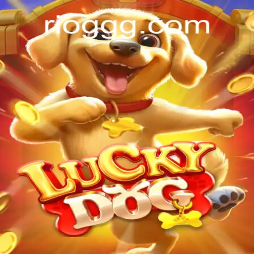 Explorando o Mundo de LuckyDog: Um Guia Completo